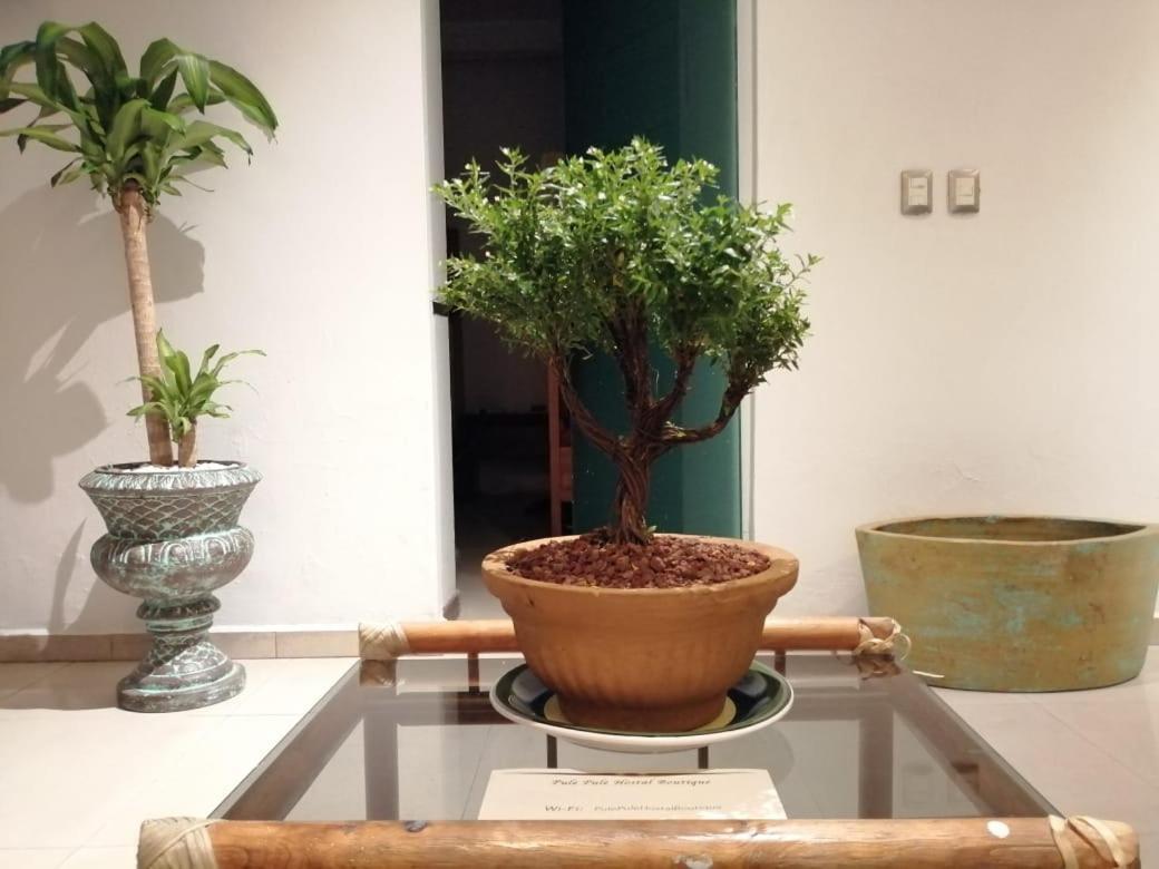 Pule Pule Hostal Boutique กัวดาลาฮารา ภายนอก รูปภาพ