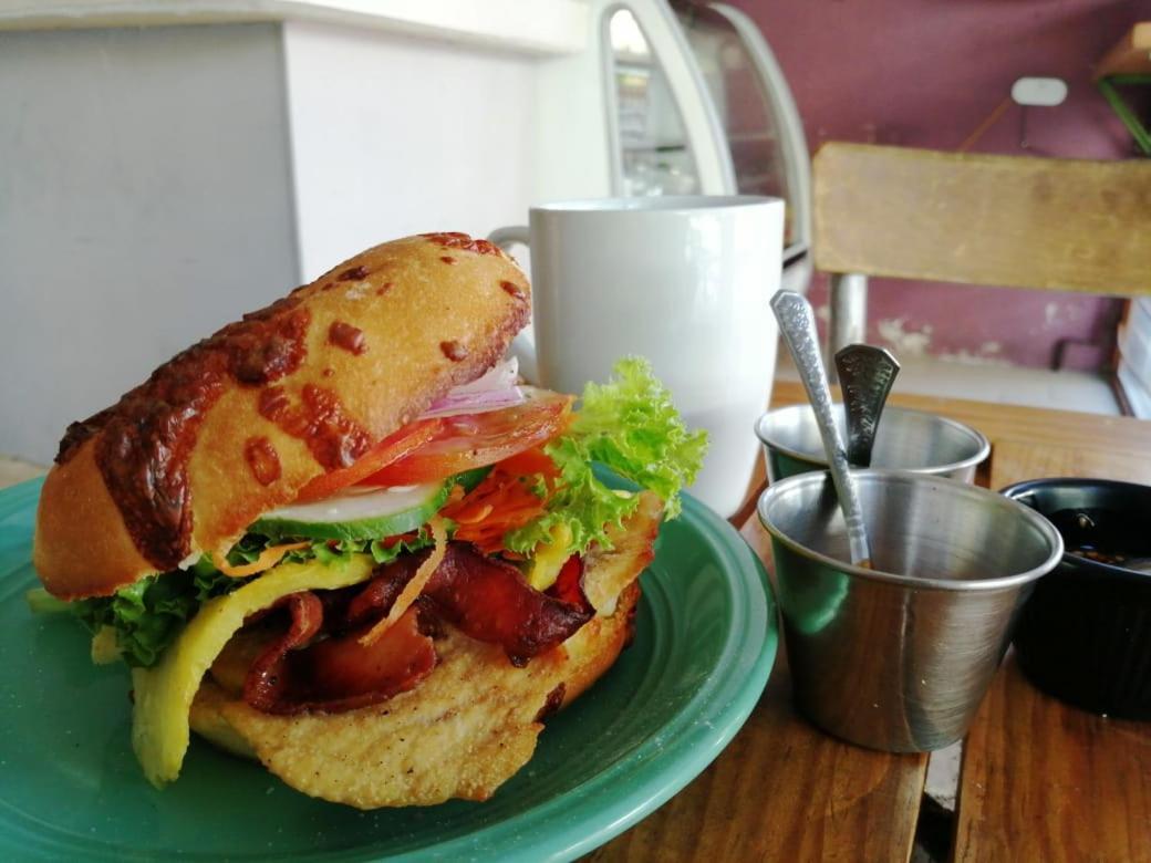 Pule Pule Hostal Boutique กัวดาลาฮารา ภายนอก รูปภาพ